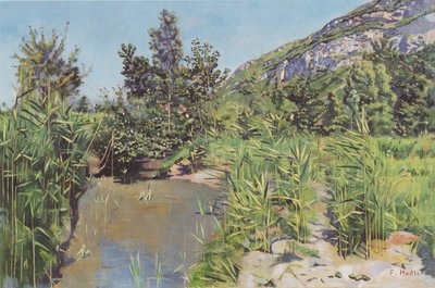 Pond Landscape near Veyrier by Ferdinand Hodler